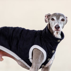 Whippet, Italian Greyhound Clothing, Quilted Vest, Coat, Outer BLACK image 1