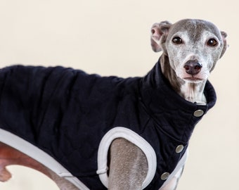 Whippet, Italian Greyhound Clothing, Quilted Vest, Coat, Outer [BLACK]