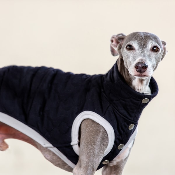 Italian Greyhound Clothing Etsy