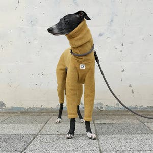 Whippet, Italian Greyhound Clothing, Fleece Jammies,Jumpsuit,Romper,Onesie MUSTARD image 3