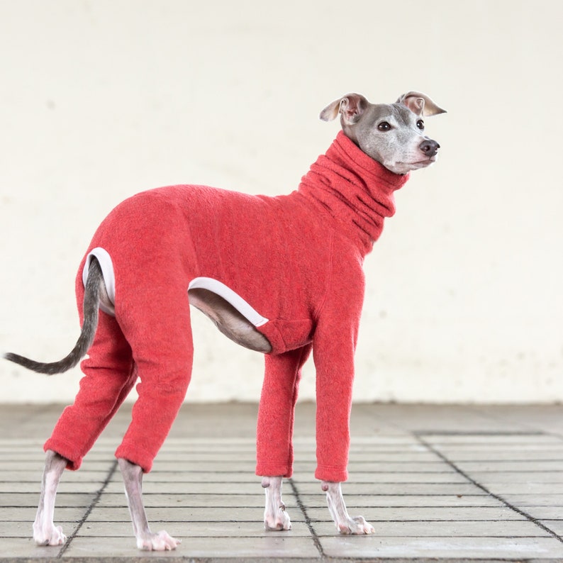 Italian Greyhound Clothing Fleece Etsy Canada