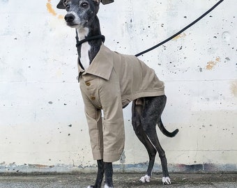 Italian Greyhound Clothing, Cotton Dress Shirt [SAND BEIGE]