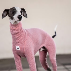 Italian Greyhound Clothing, Wrinkle Double Face Organic Cotton Jumpsuit, Room Wear,Jammies,Romper,Onesie [RED PINK]