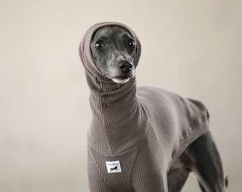 Italian Greyhound Clothing, Organic Cotton, Waffle, Long Neck T-shirt [TAUPE]