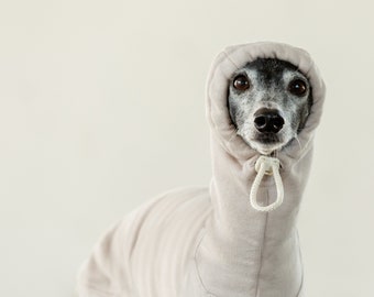 Italian Greyhound Clothing, Hoodie, Hoody, Hooded Sweatshirt, Hooded Jumper, Cotton100% [ALMOND]