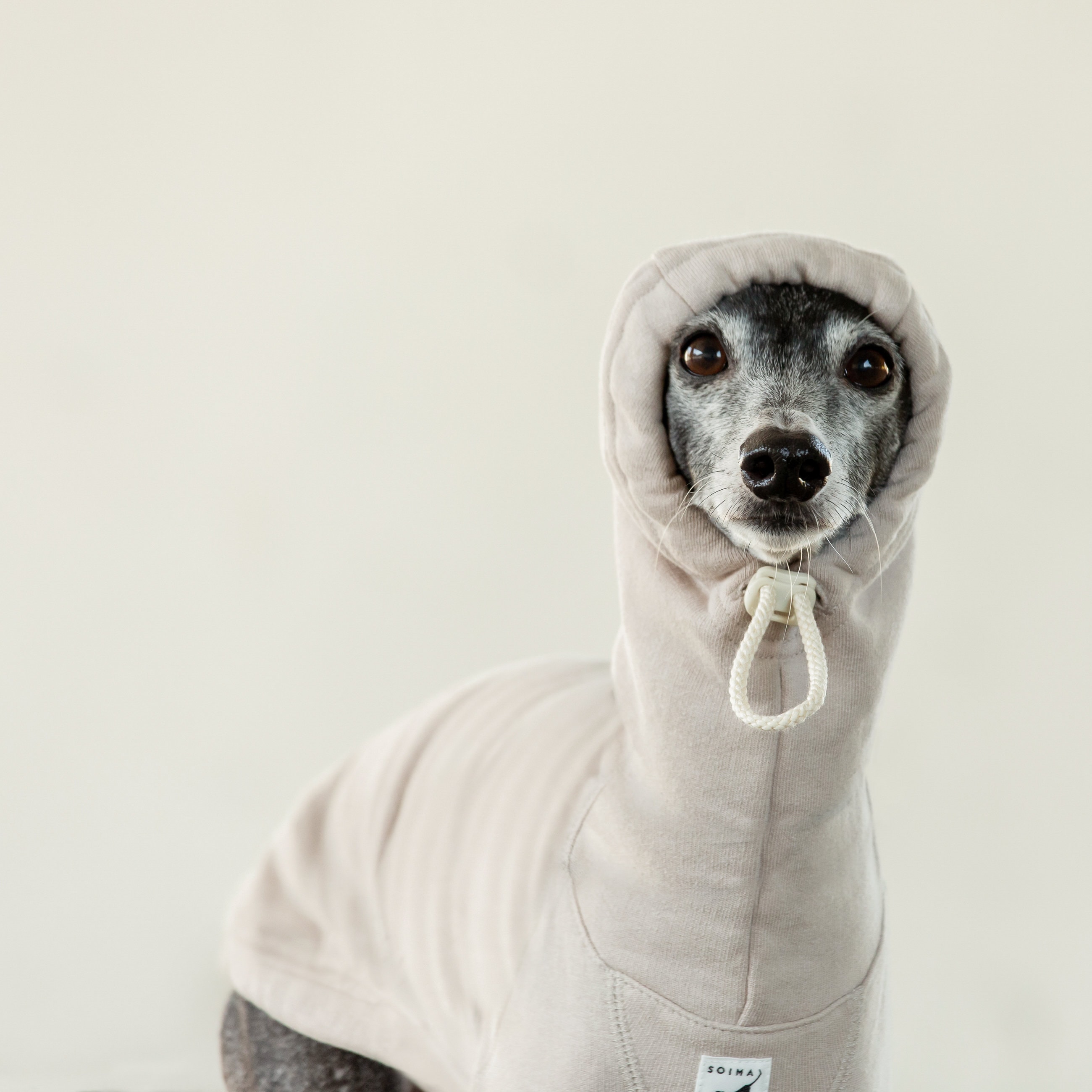 Italian Greyhound Zip Up Hoodie Italian Greyhound Zip Up Hoodie