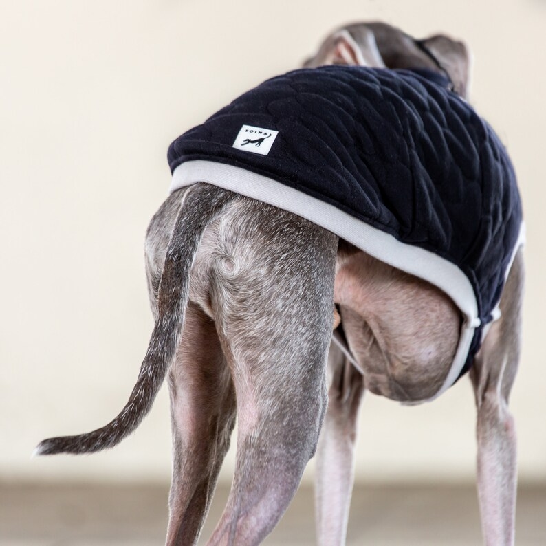 Whippet, Italian Greyhound Clothing, Quilted Vest, Coat, Outer BLACK image 3