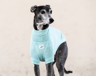 Italian Greyhound Clothing, Organic Cotton, Short Sleeve, Short Neck, T-shirt [TURQUOISE]