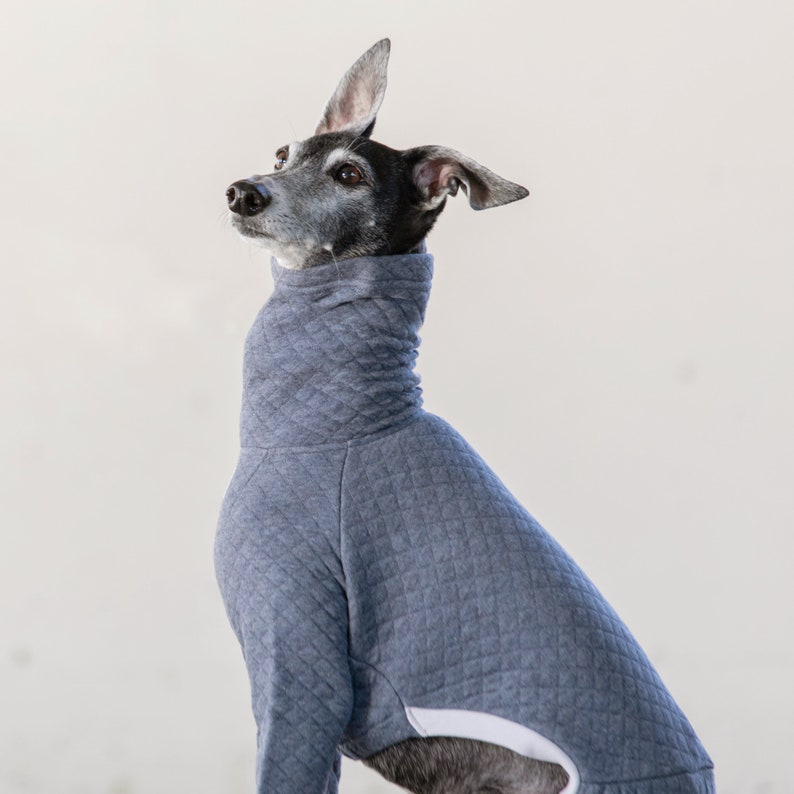 Italian Greyhound Clothing, Organic Cotton Quilted Jammies,Jumpsuit,Romper,Onesie ASH BLUE image 4