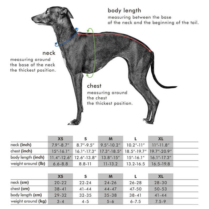 Wool Nep Long Sleeves T-shirt Wine Italian Greyhound Clothing