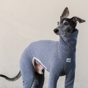 Italian Greyhound Clothing, Organic Cotton Quilted Jammies,Jumpsuit,Romper,Onesie ASH BLUE image 2