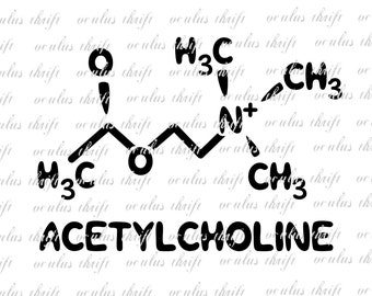 Acetylcholine The Memory Molecule SVG - Silhouette Cut File