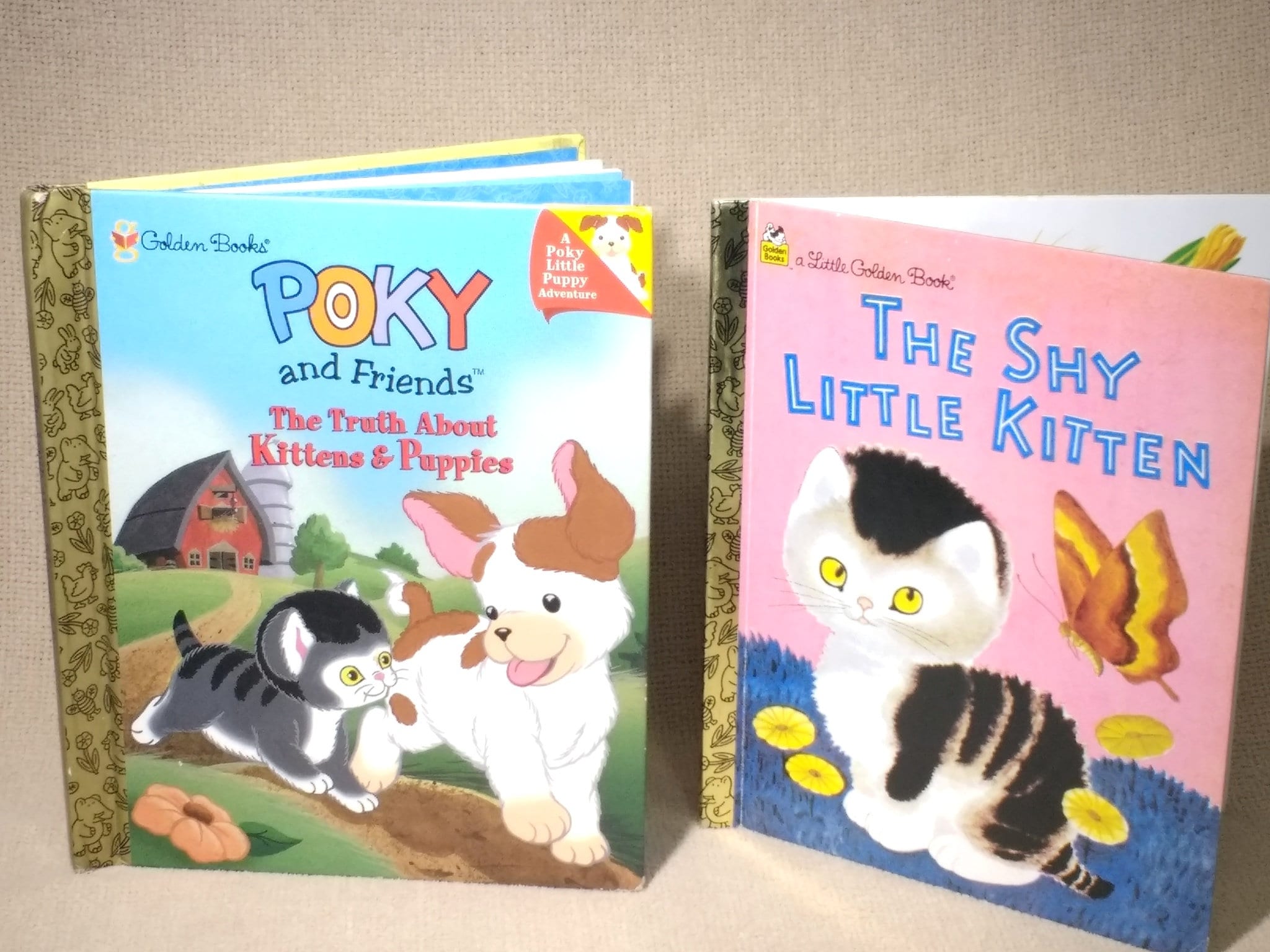 The Shy Little Kitten Poky and Friends Little Golden Children s