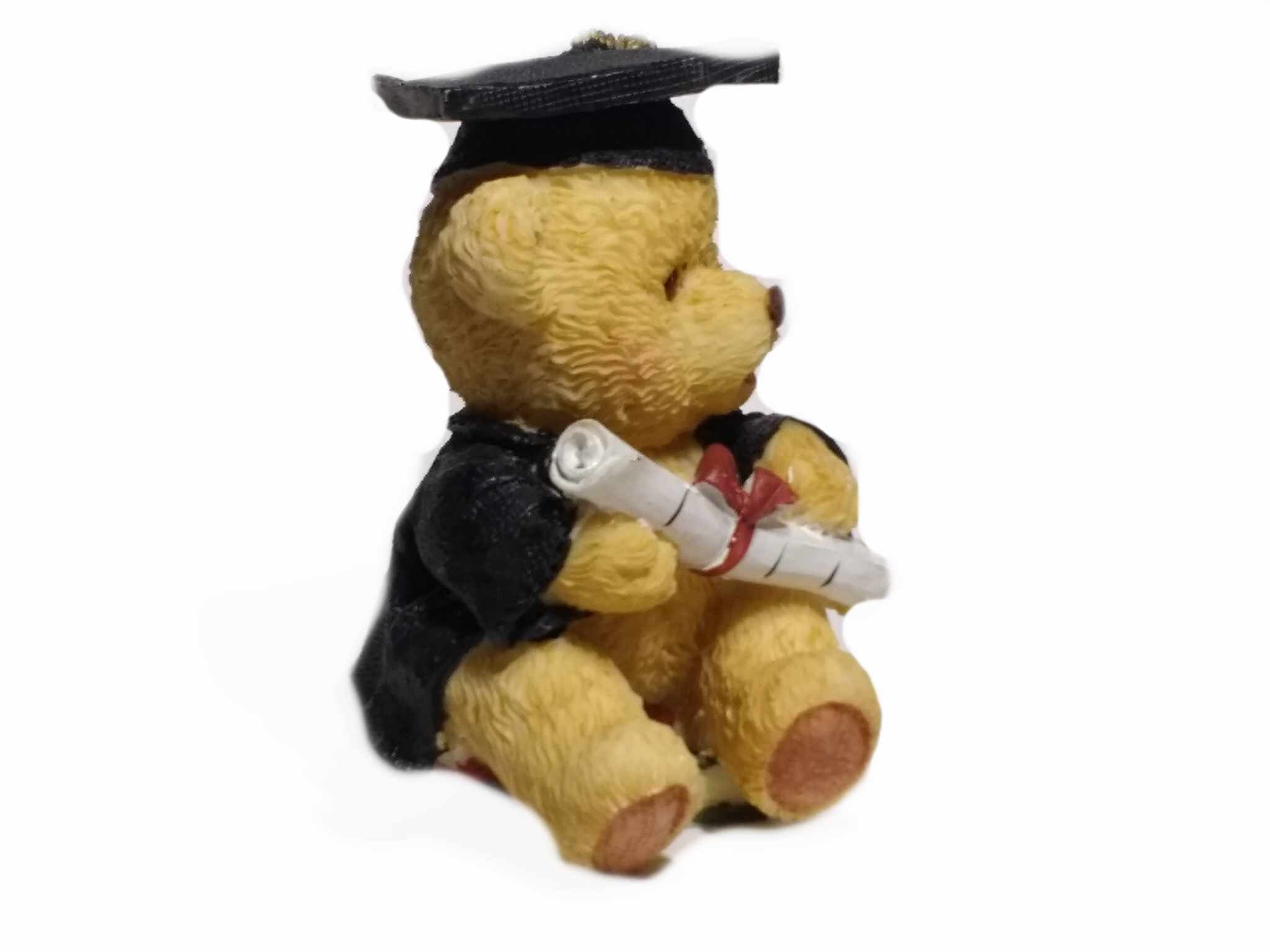 graduation teddy bear party city