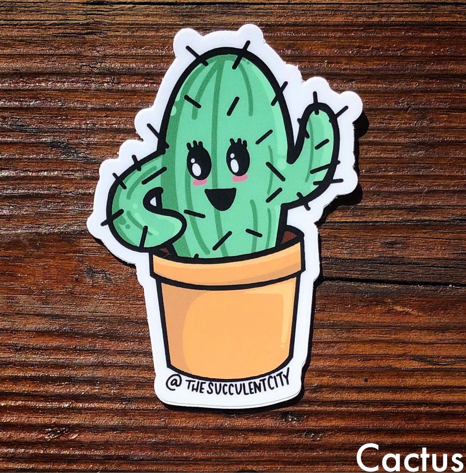 2 Pack of Cute 3 Succulent Stickers | Etsy