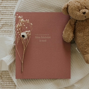 Livre de bébé, Album de bb, Livre naissance, Journal grossesse, Future maman, Cadeau naissance, Shower, Cartable bb, Babybook - Rose Tissu