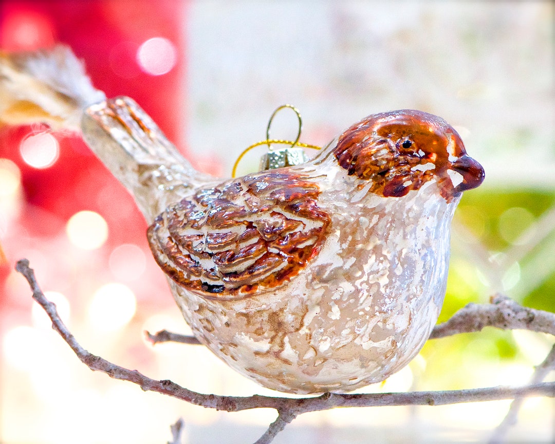 VINTAGE Glass Bird Ornament With Feather Tall Blown Figural Etsy