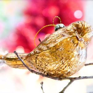 Può includere: Un ornamento a forma di uccello dorato con una superficie testurizzata, appeso a un ramo con uno spago dorato.