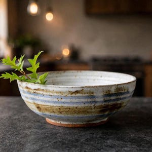May include: A ceramic bowl with a white interior and a speckled exterior featuring horizontal blue and brown stripes. The bowl has a visible terracotta-colored base and contains a small green leafy sprig extending over the rim.
