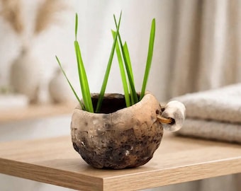 Puede incluir: Un cuenco pequeño y redondo de madera marrón oscuro con un exterior rugoso y texturizado y veta de madera natural. Un solo mango de madera de color claro está unido al lateral. Varias briznas de hierba largas, finas y de color verde brillante crecen del cuenco.