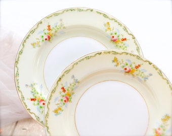 VINTAGE: 6pc Salad Plates - Emico Japan Ej1 - Floral Sprays Lattice Cream - Japan - Replacements - SKU 22-E-00032608