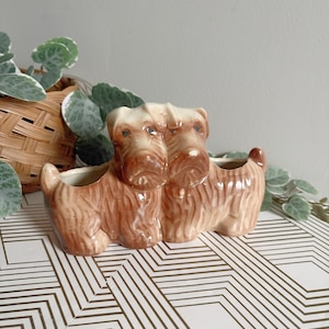 May include: A brown ceramic dog planter featuring two terrier-like figures. The planter has openings for plants and is set on a white surface with a geometric pattern. Greenery and a basket are visible in the background.
