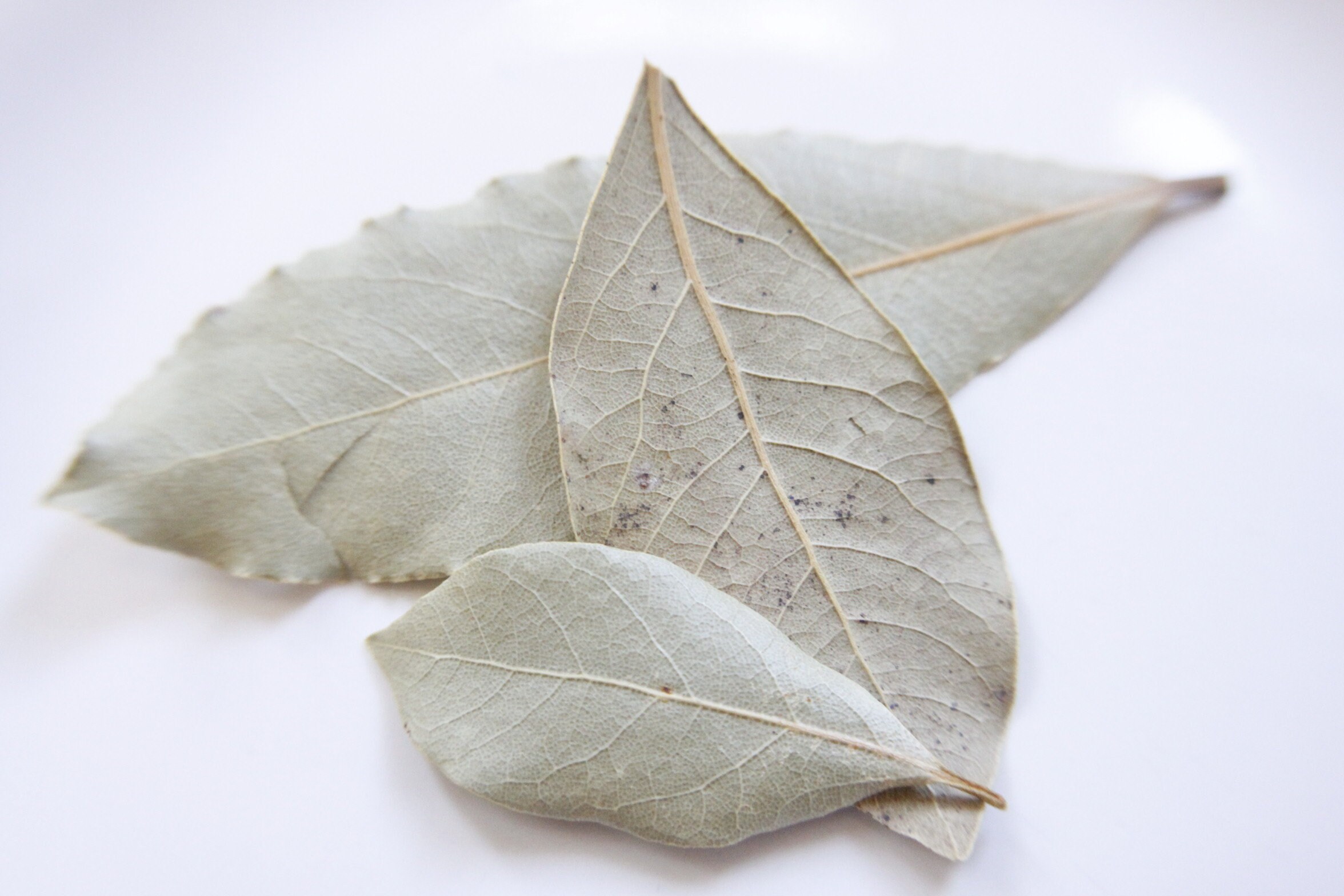 Dried BAY LEAVES 2 Grams Dried Herbs Bay Leaves Add Bay Etsy