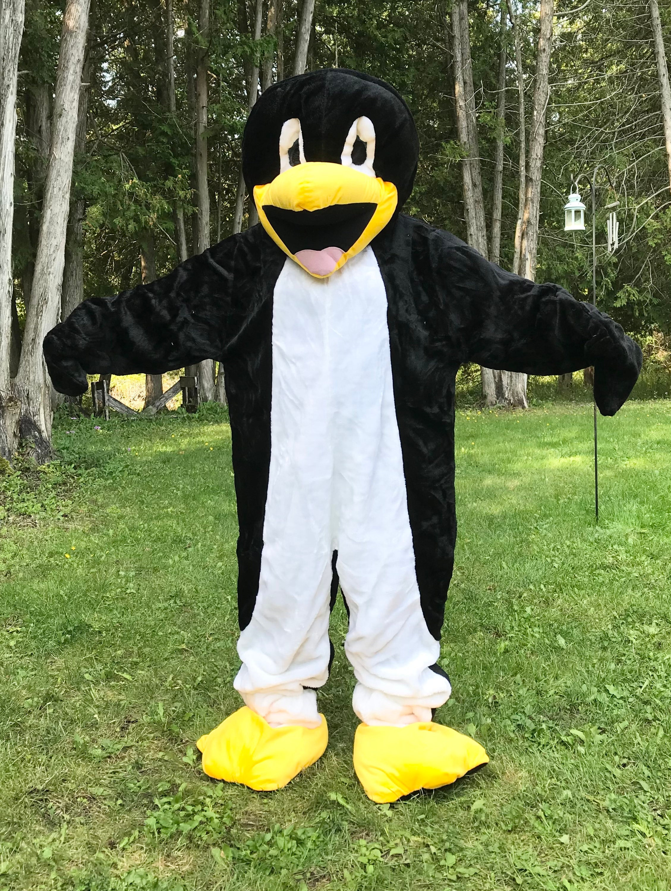 Mascot Penguin Costumes Mascot Penguin Costumes