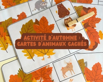 Autumn Activity - Hidden Animal Cards