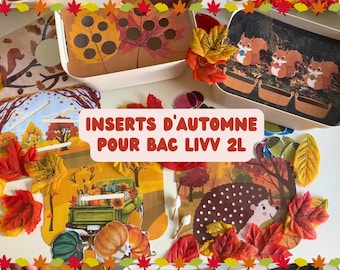 Autumn inserts for Livv 2L container