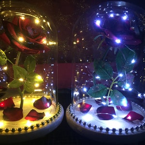 LARGE CHRISTMAS Enchanted Rose Beauty & the Beast Belle Light Disney-geïnspireerde verjaardag, bruiloft, voorstel, verjaardag