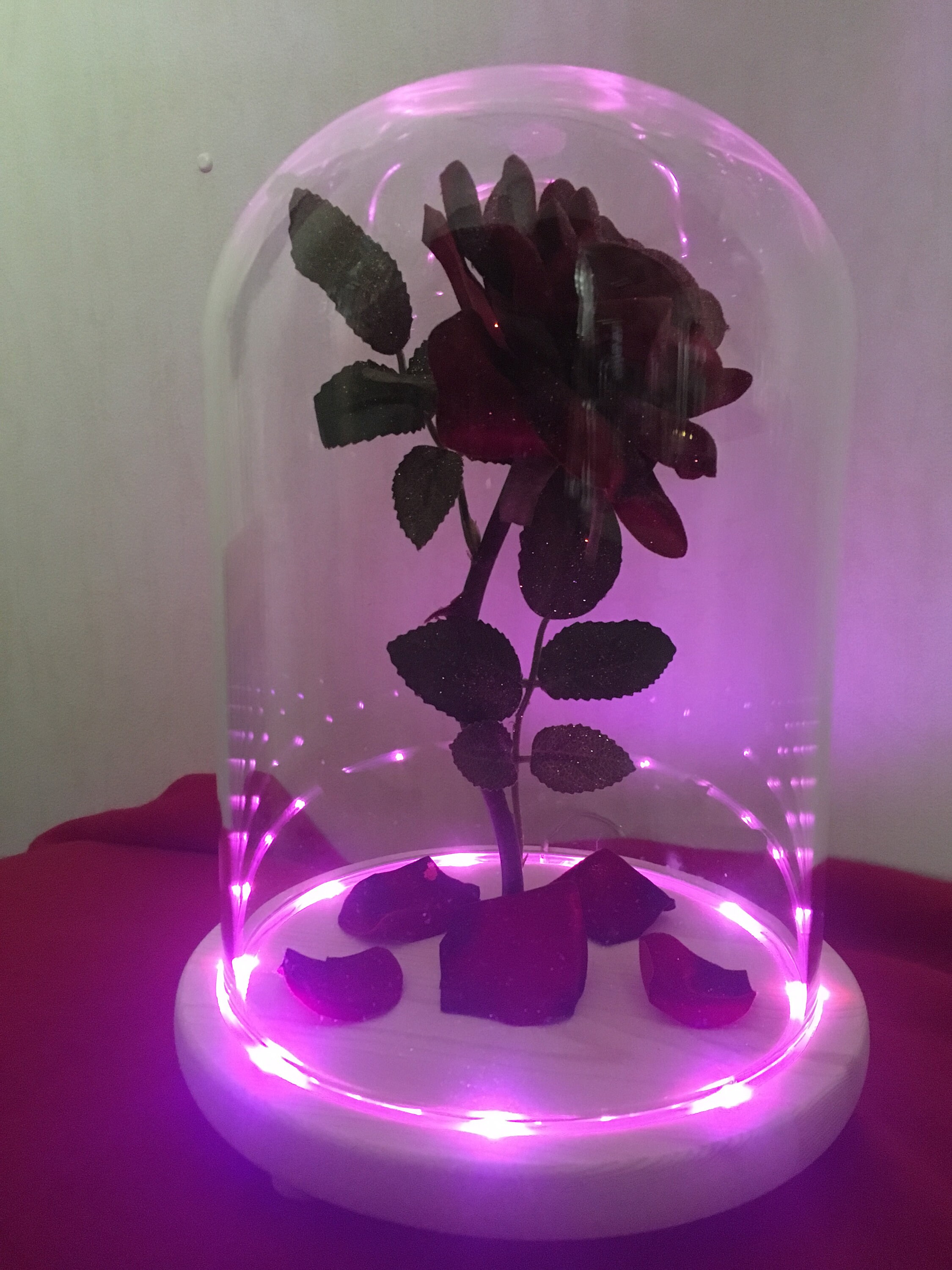 LARGE Glowing Light Up Enchanted Rose Beauty & the Beast Etsy