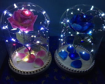 Baby Shower/Gender Reveal/Baby birth Large ENCHANTED Rose Dome Beauty & Beast Rose BESPOKE