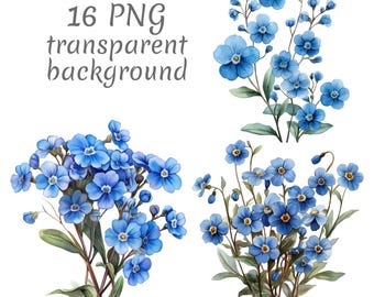 Peut inclure: Illustration à l'aquarelle de fleurs bleues de myosotis avec des feuilles vertes. L'image comprend plusieurs arrangements floraux, avec le texte "16 PNG transparent background" dans le coin supérieur gauche.