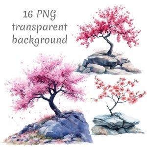 16 Cherry blossom on stones Watercolor Clipart PNG. Digital Download, junk journals, transparent background, high quality scrapbooking