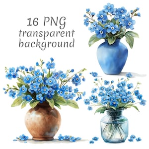 16 Forget-me-not vase watercolor clipart PNG. Digital Download, junk journals transparent background high quality scrapbooking Card Making