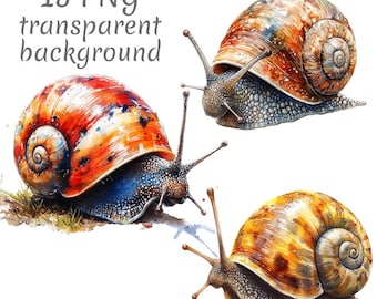 15 imágenes PNG de caracoles de jardín en acuarela. Descarga digital, para diarios basura, fondo transparente, alta calidad, para scrapbooking y creación de tarjetas.