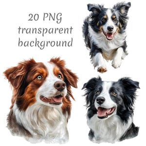 Può includere: Tre dipinti digitali di cani border collie. Un cane è marrone e bianco, uno è nero e bianco e uno è nero e bianco con una macchia marrone sulla testa. Tutti e tre i cani guardano la fotocamera.