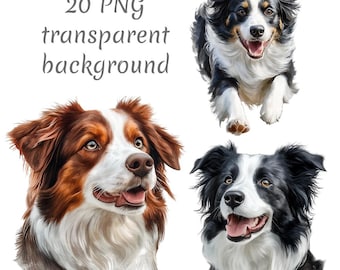 20 Bordercollie-hond Clipart PNG, Digitale download, ongewenste tijdschriften, transparante achtergrond, hoge kwaliteit, scrapbooking, kaarten maken