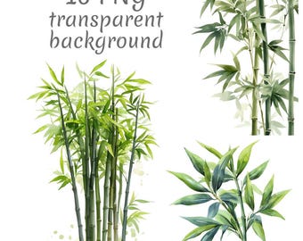 16 Bamboo plant Watercolor Clipart PNG. Digital Download junk journals, transparent background, high quality, scrapbooking, Card Making