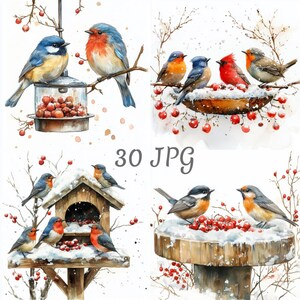May include: Watercolour illustrations of birds in winter settings. The images feature various birds perched on branches, bird feeders, and birdhouses, surrounded by berries and snow. The text "30 JPG" is visible.