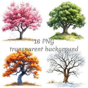 Könnte beinhalten: Vier Aquarelle von Bäumen in verschiedenen Jahreszeiten. Der erste Baum blüht mit rosa Blüten, der zweite Baum ist grün, der dritte Baum hat orange Blätter und der vierte Baum ist kahl mit Schnee auf dem Boden.