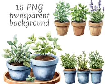 15 Kitchen Herbs Watercolor Clipart PNG. Digital Download, junk journals, transparent background, high quality scrapbooking, Card Making