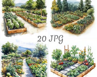 May include: Watercolor illustrations of various garden scenes. The images depict raised garden beds filled with vegetables and flowers, pathways, and surrounding trees. The style is soft and inviting, with a focus on natural beauty and the cultivation of plants.