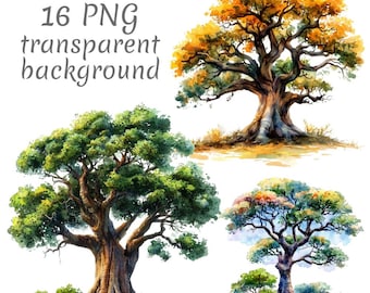 バオバブの木　絵画 水彩画のバオバブの木のクリップアート：手描きの木のクリップアート