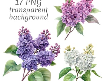 17 Blooming Lilac Branch Watercolor Clipart PNG. Digital Download, junk journals, transparent background, high quality, scrapbooking