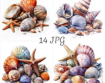14 Seashells watercolor clipart JPG, Sea clipart, Digital Download, Junk Journals, Paper Craft, Watercolor, Card Making, Clip Art