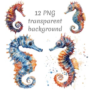 12 Seahorse watercolor Clipart PNG. Sea clipart, Digital Download, junk journals, transparent background, high quality, watercolor clipart
