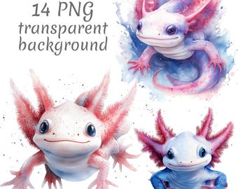 14 Axolotl aquarel clipart png, digitale download, ongewenste tijdschriften, transparante achtergrond, hoge kwaliteit, scrapbooking, kaarten maken