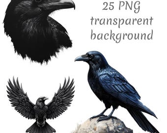 25 zwarte raaf clipart png, digitale download, ongewenste tijdschriften, transparante achtergrond, hoge kwaliteit, scrapbooking, kaarten maken